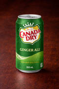 Canada Dry Ginger Ale Can