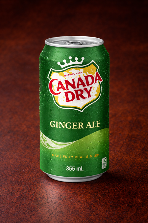 Canada Dry Ginger Ale Can